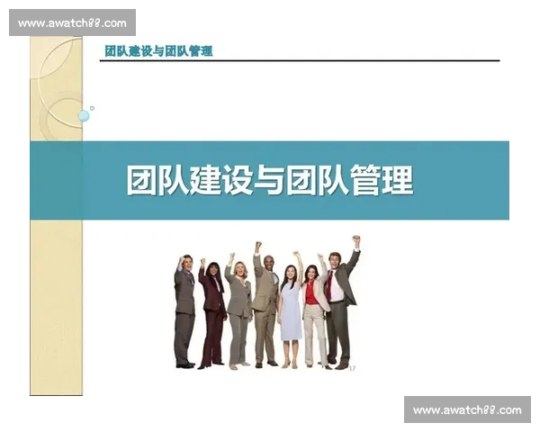 团队建设与协作提升：打造高效团队的策略与实践探索