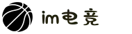 IM(股份有限公司)电竞-电子竞技平台"